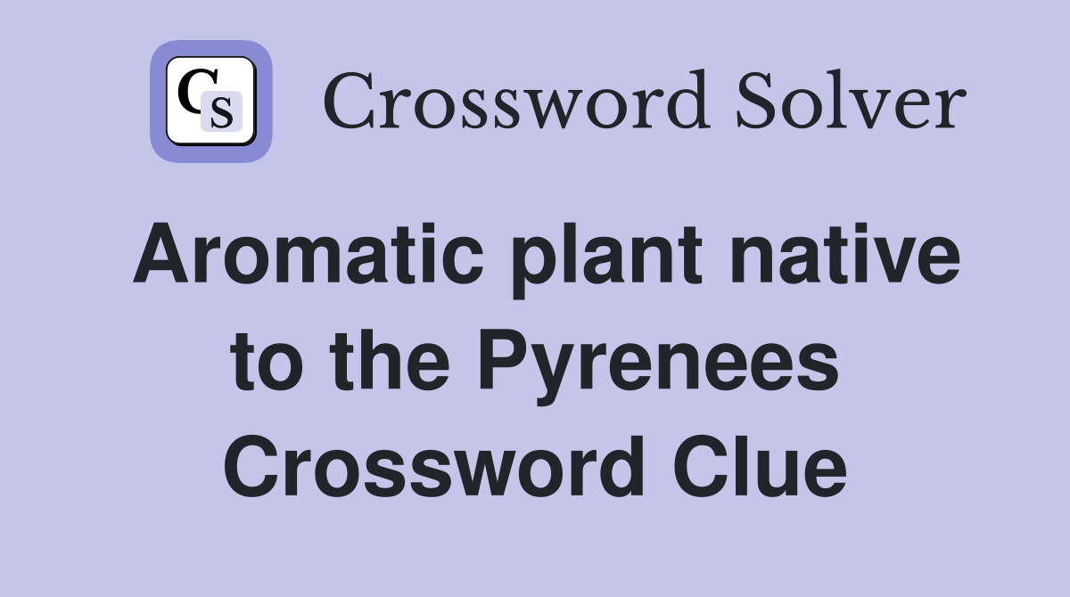 Aromatic plant native to the Pyrenees Crossword Clue