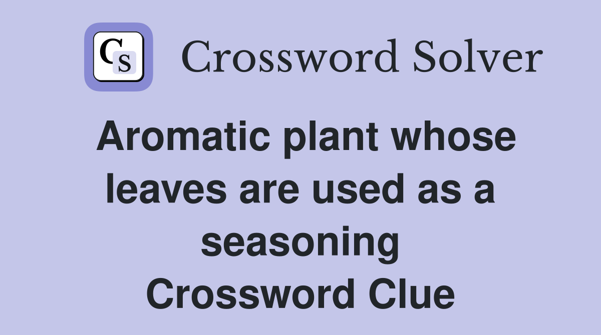 Aromatic plant whose leaves are used as a seasoning Crossword Clue