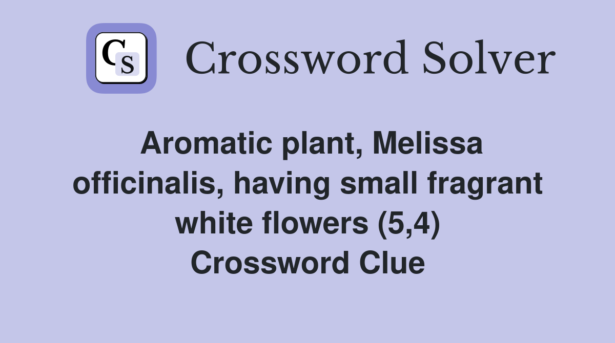 Aromatic plant, Melissa officinalis, having small fragrant white flowers (5,4) Crossword Clue