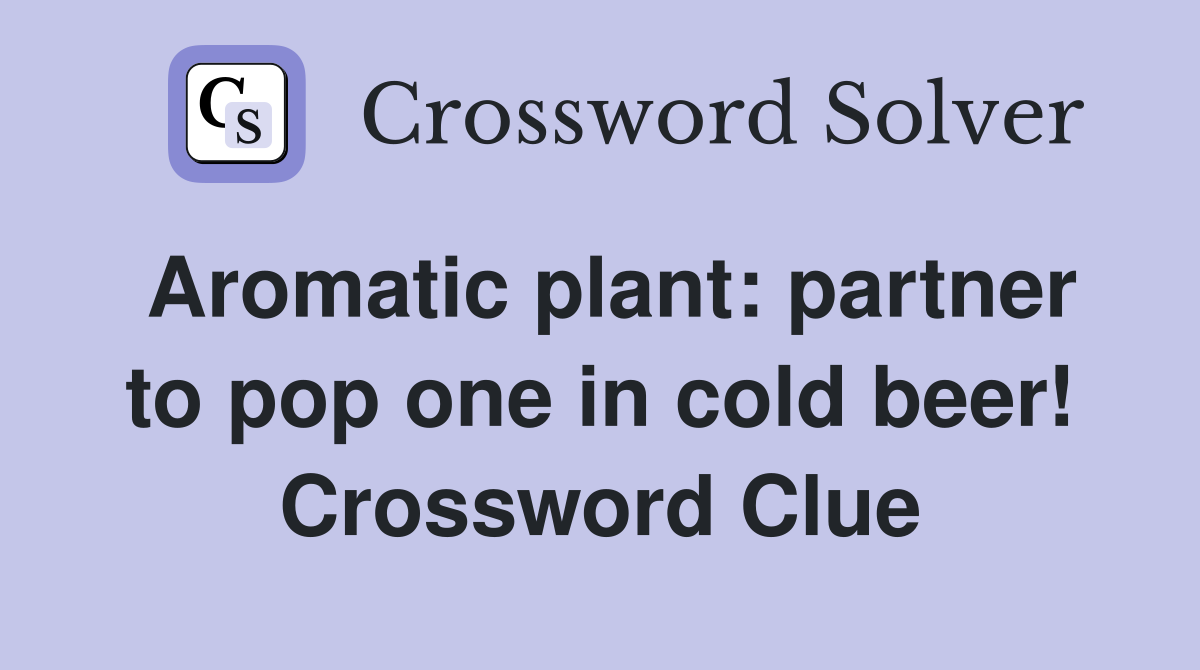 Aromatic plant: partner to pop one in cold beer! Crossword Clue