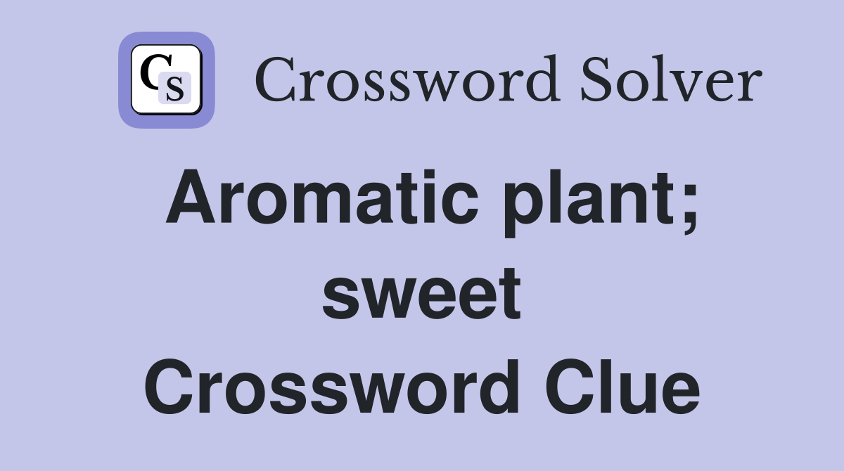 Aromatic plant; sweet Crossword Clue