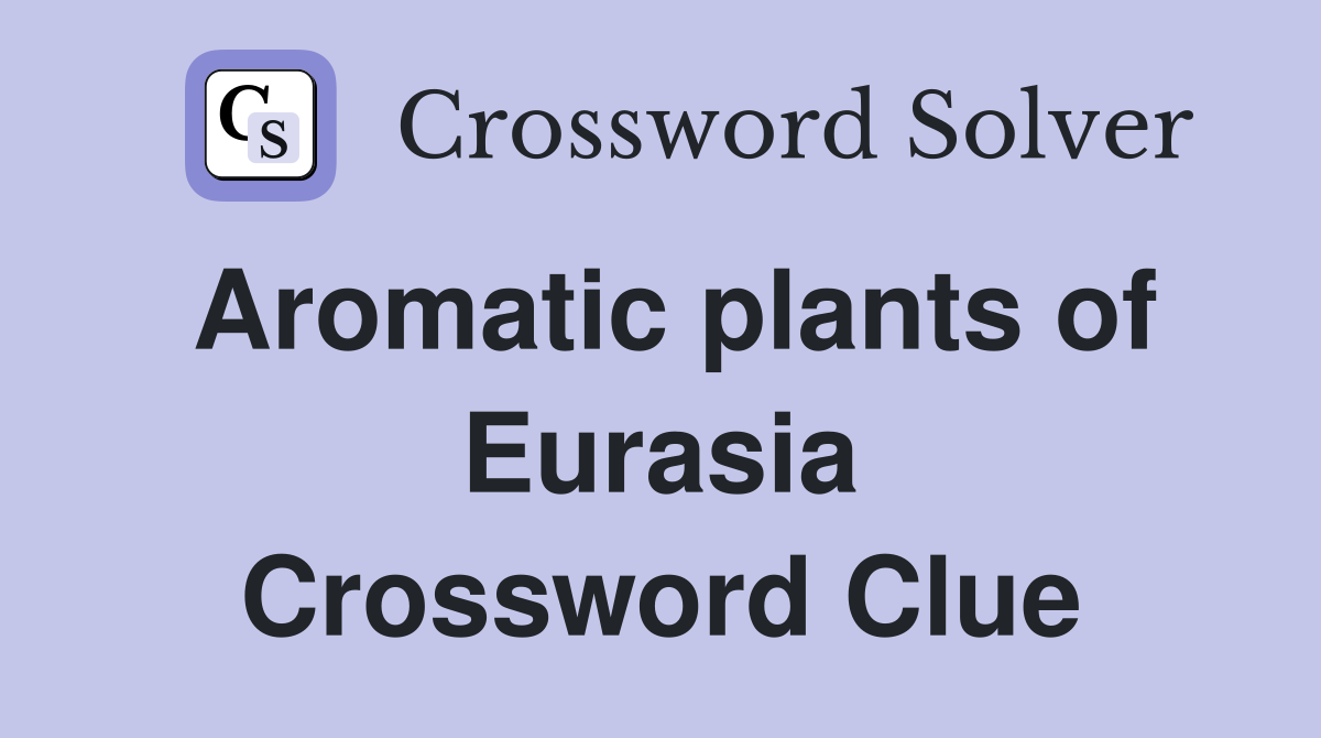Aromatic plants of Eurasia Crossword Clue