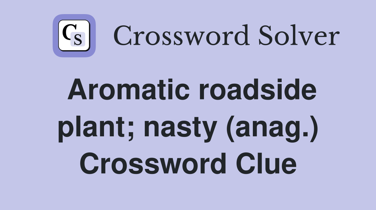Aromatic roadside plant; nasty (anag.) Crossword Clue