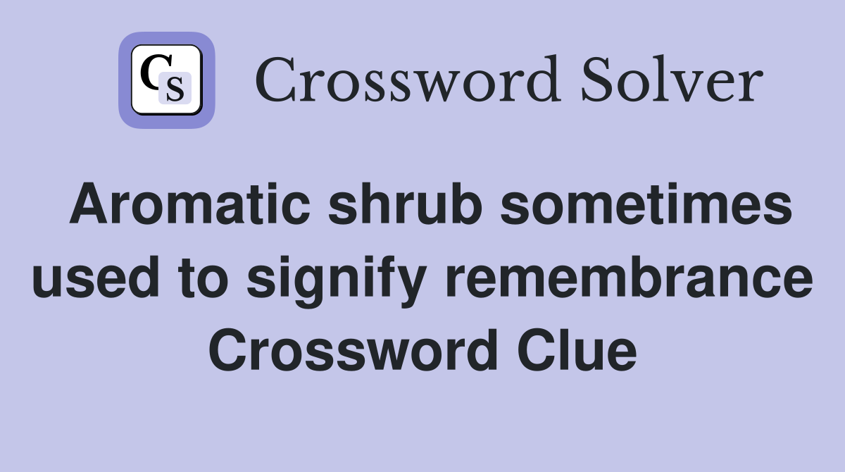Aromatic shrub sometimes used to signify remembrance Crossword Clue