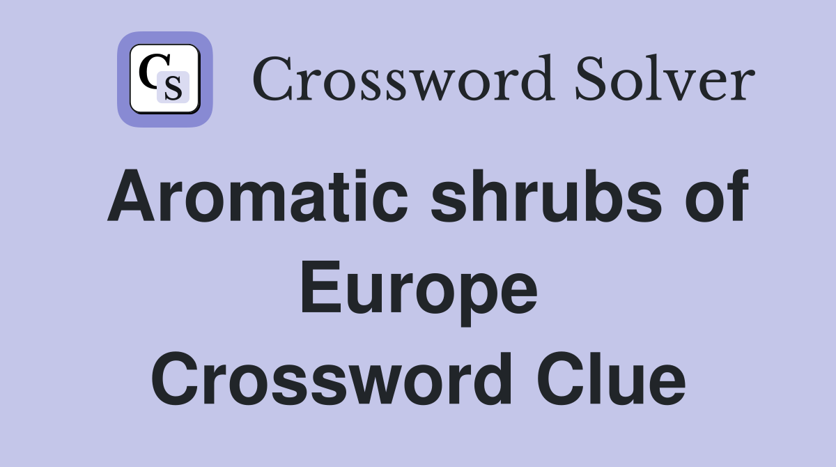 Aromatic shrubs of Europe Crossword Clue