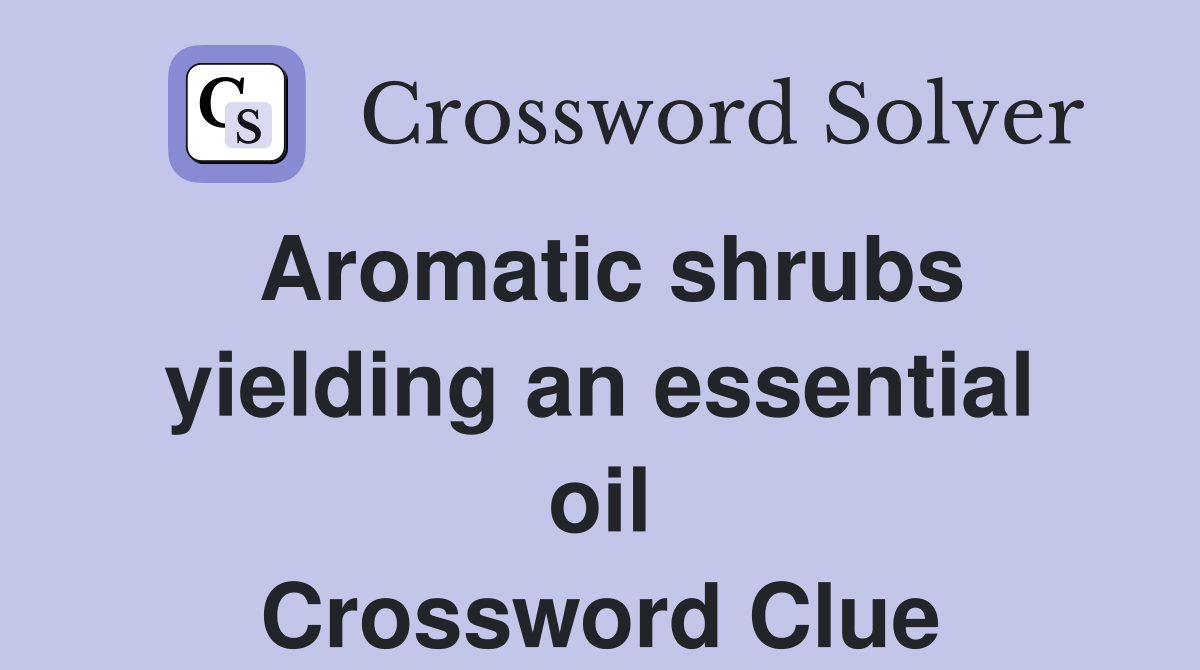 Aromatic shrubs yielding an essential oil Crossword Clue