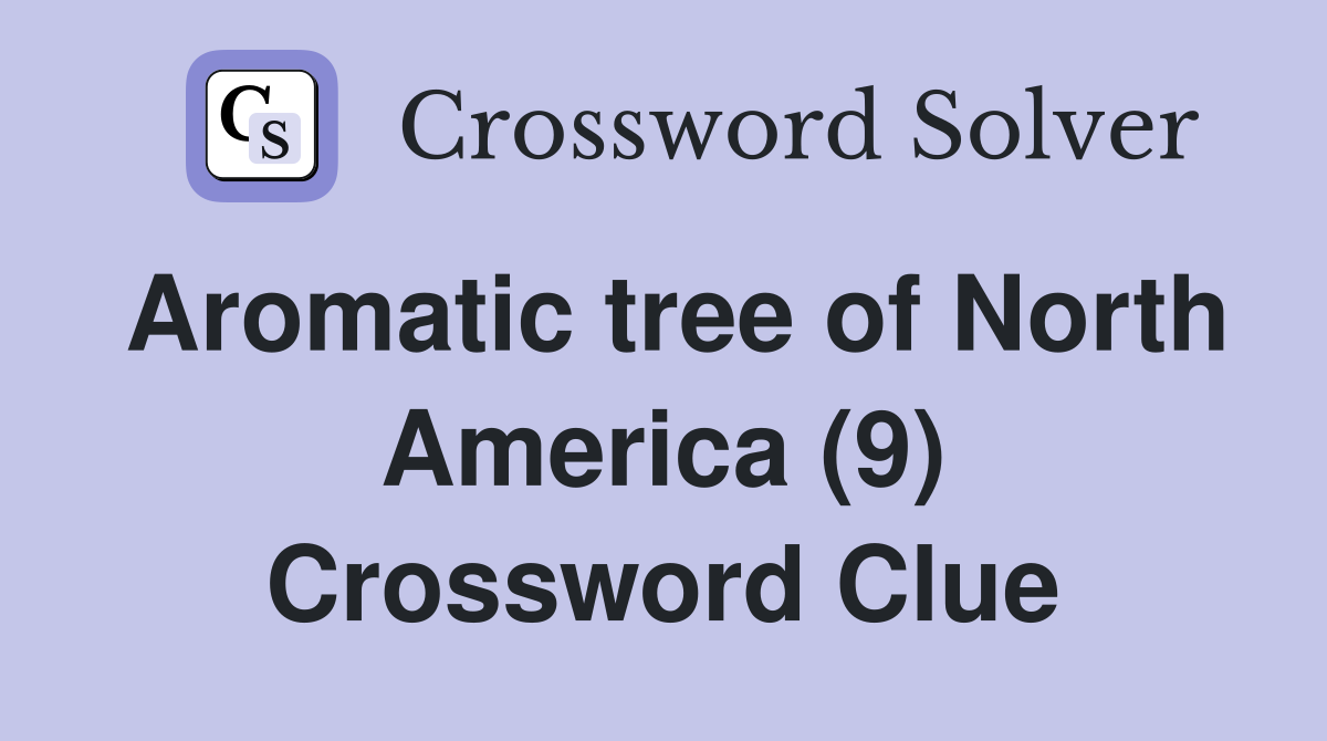 Aromatic tree of North America (9) Crossword Clue