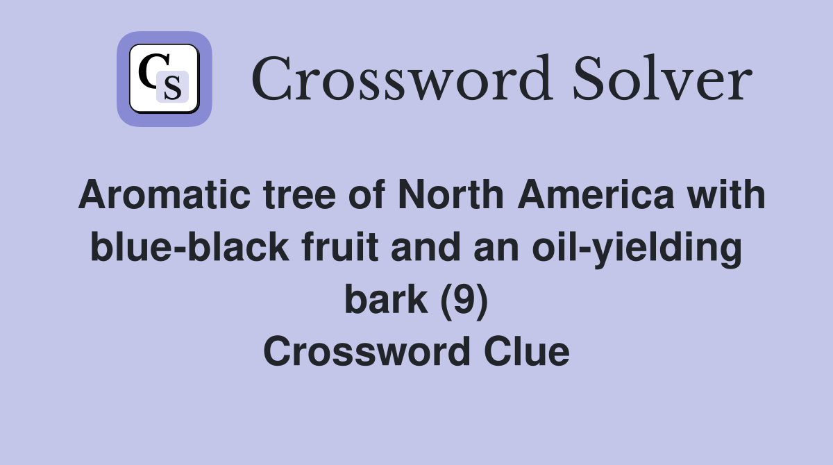 Aromatic tree of North America with blue-black fruit and an oil-yielding bark (9) Crossword Clue