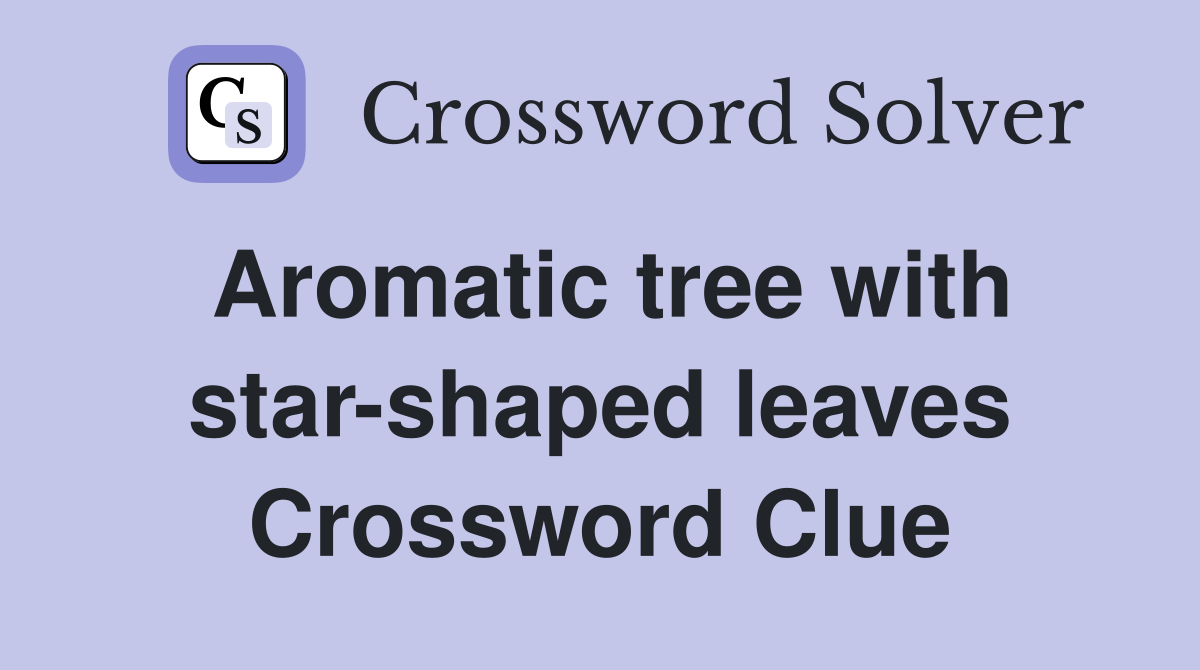 Aromatic tree with star-shaped leaves Crossword Clue