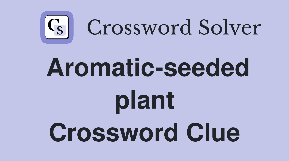 Aromatic-seeded plant Crossword Clue