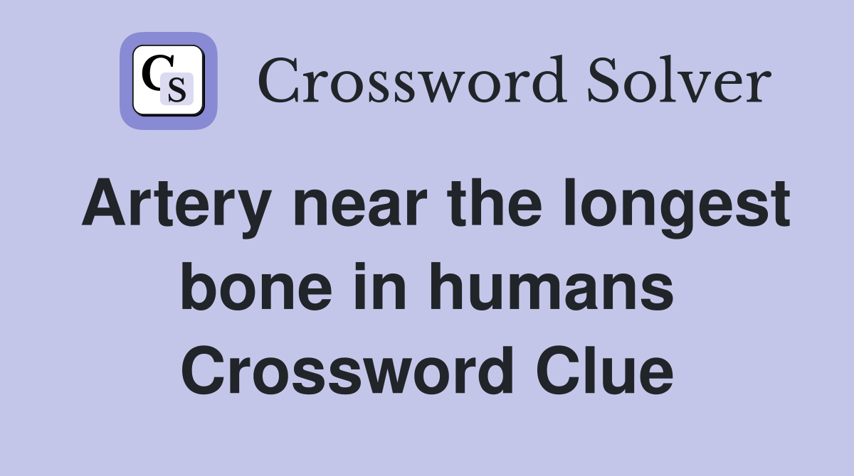 Artery near the longest bone in humans Crossword Clue