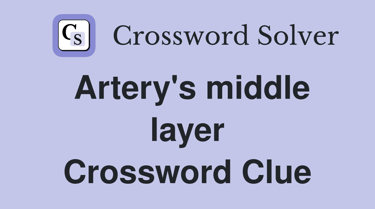 Artery's middle layer Crossword Clue