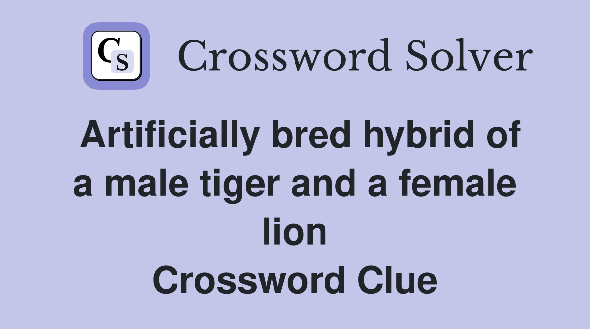 Artificially bred hybrid of a male tiger and a female lion Crossword Clue