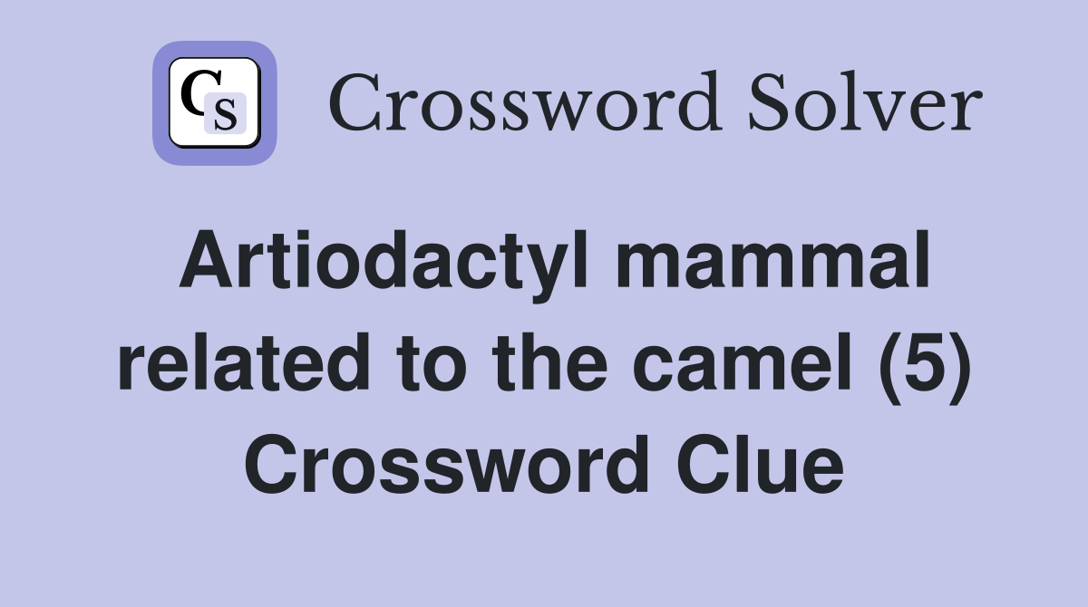 Artiodactyl mammal related to the camel (5) Crossword Clue