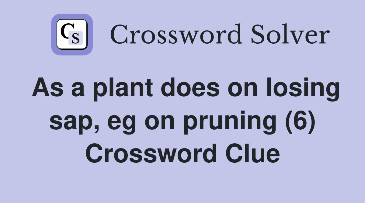 As a plant does on losing sap, eg on pruning (6) Crossword Clue