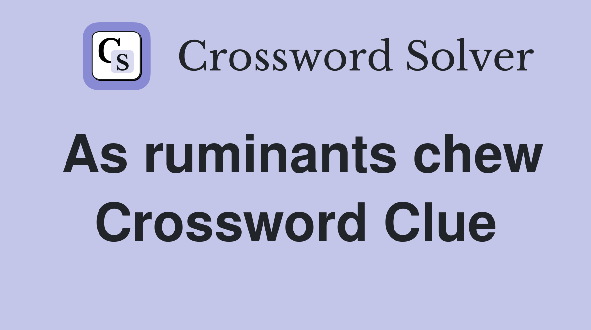 As ruminants chew Crossword Clue