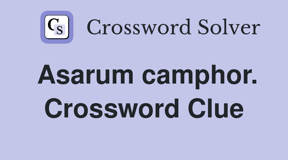 Asarum camphor. Crossword Clue