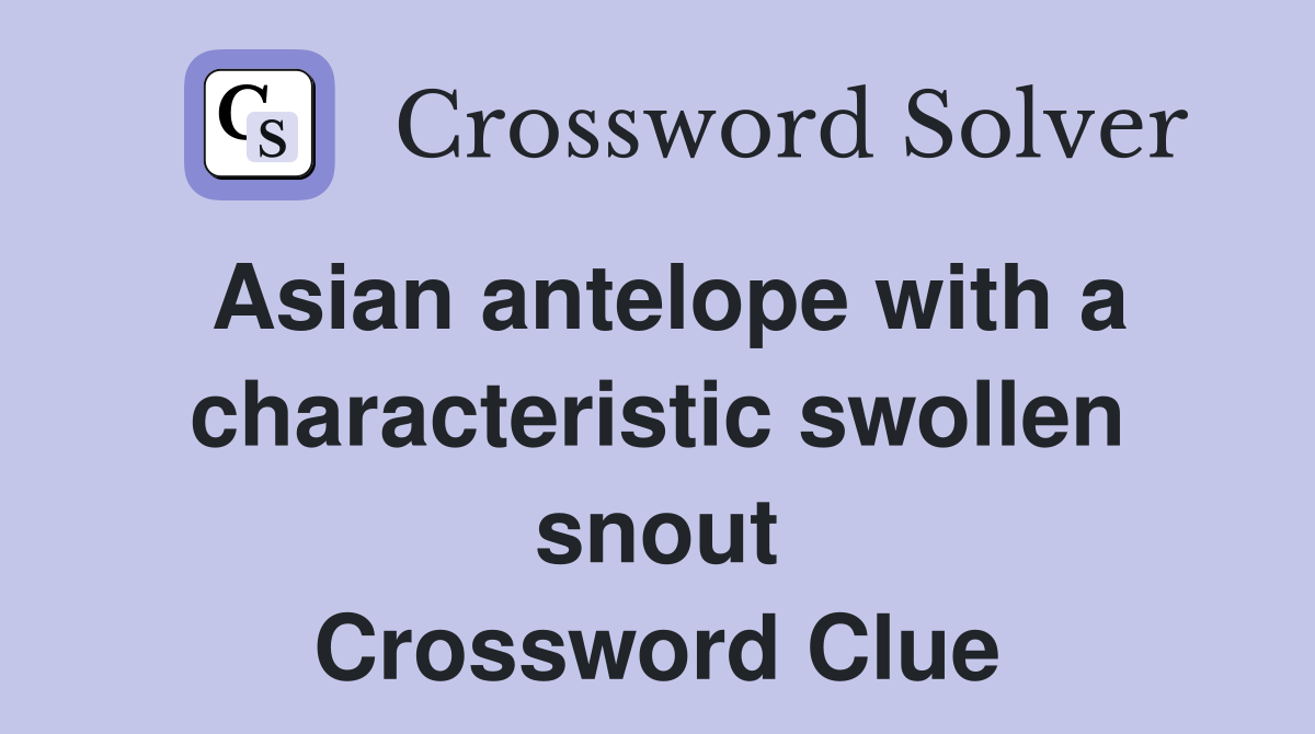 Asian antelope with a characteristic swollen snout Crossword Clue