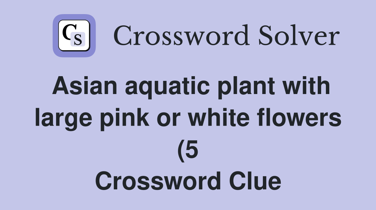 Asian aquatic plant with large pink or white flowers (5) Crossword Asian aquatic plant with large pink or white flowers (5) Crossword