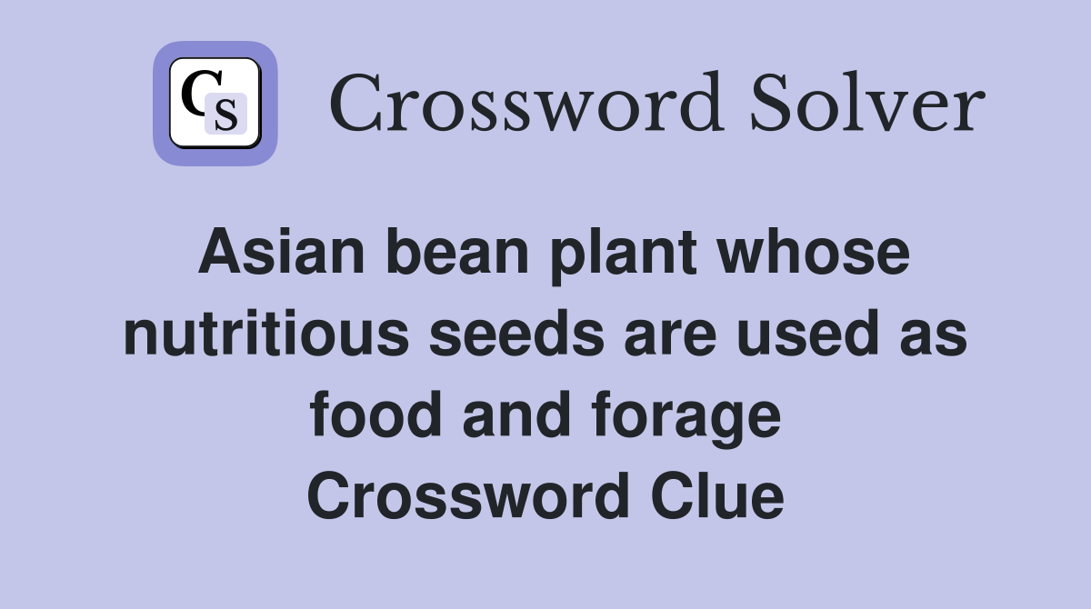 Asian bean plant whose nutritious seeds are used as food and forage Crossword Clue
