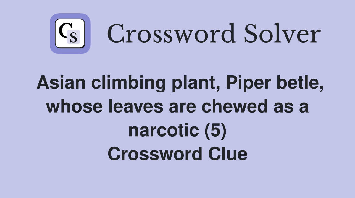 Asian climbing plant, Piper betle, whose leaves are chewed as a narcotic (5) Crossword Clue