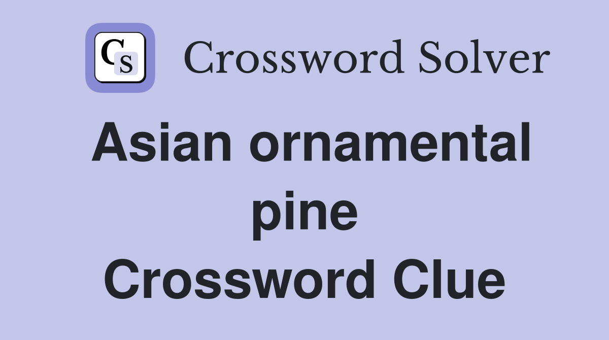 Asian ornamental pine Crossword Clue