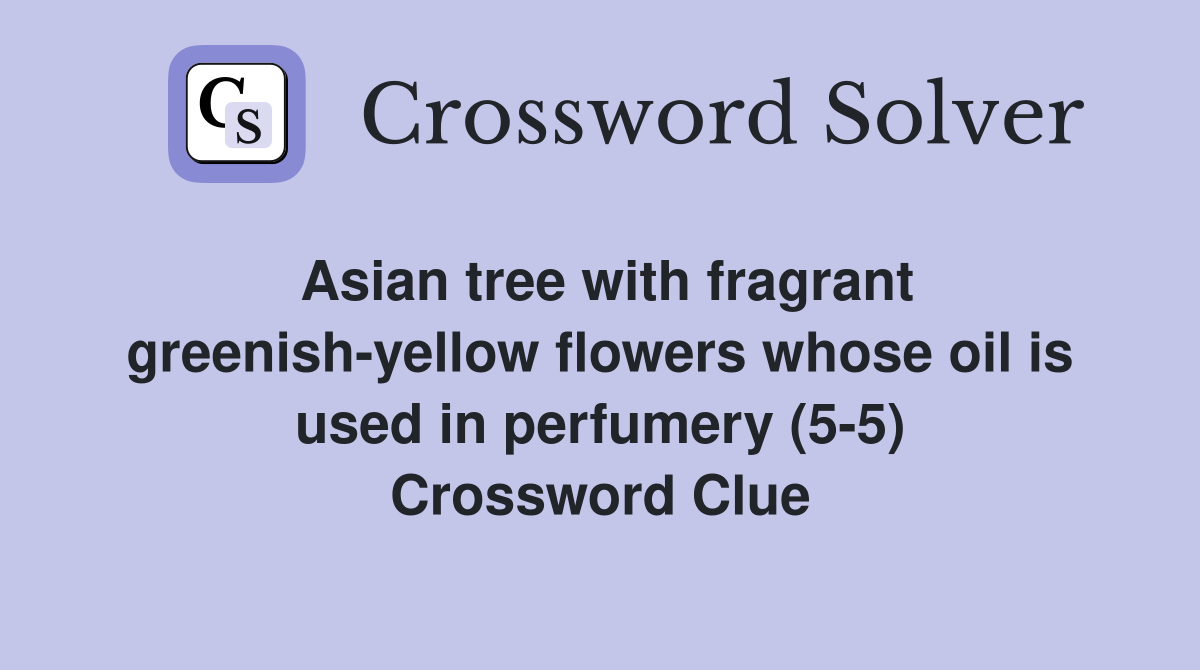 Asian tree with fragrant greenish-yellow flowers whose oil is used in perfumery (5-5) Crossword Clue
