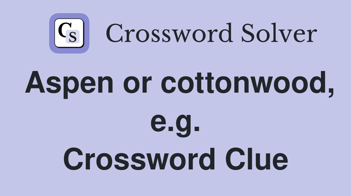 Aspen or cottonwood, e.g. Crossword Clue