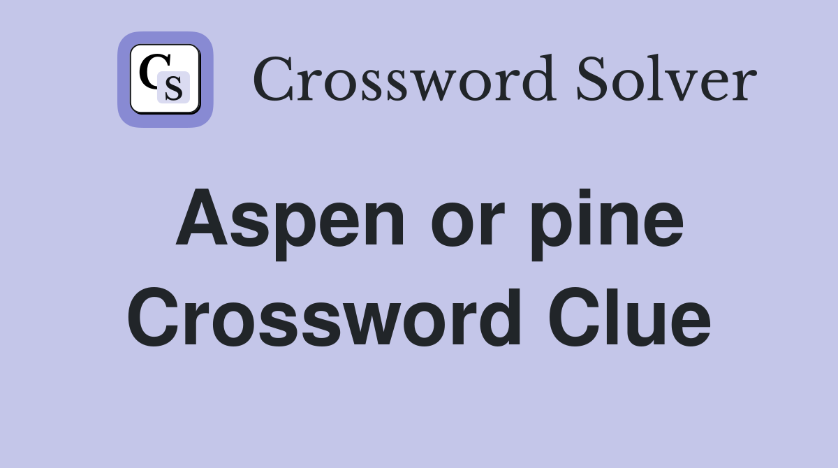 Aspen or pine Crossword Clue