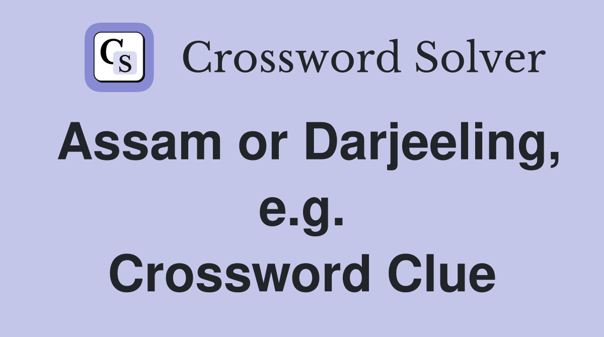 Assam or Darjeeling, e.g. Crossword Clue
