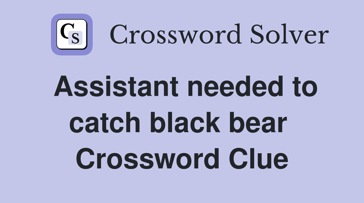 Assistant needed to catch black bear  Crossword Clue