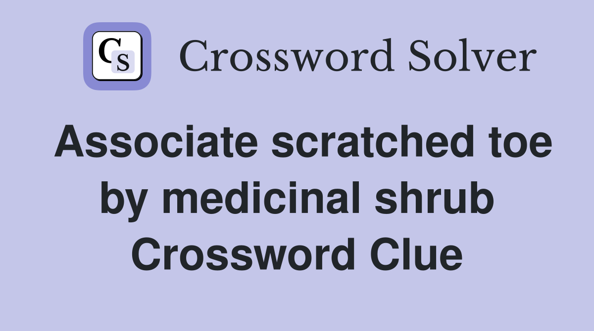 Associate scratched toe by medicinal shrub Crossword Clue