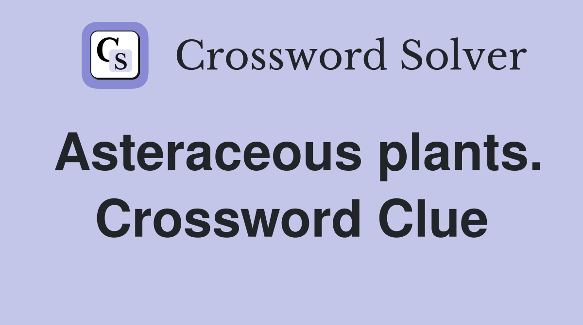 Asteraceous plants. Crossword Clue