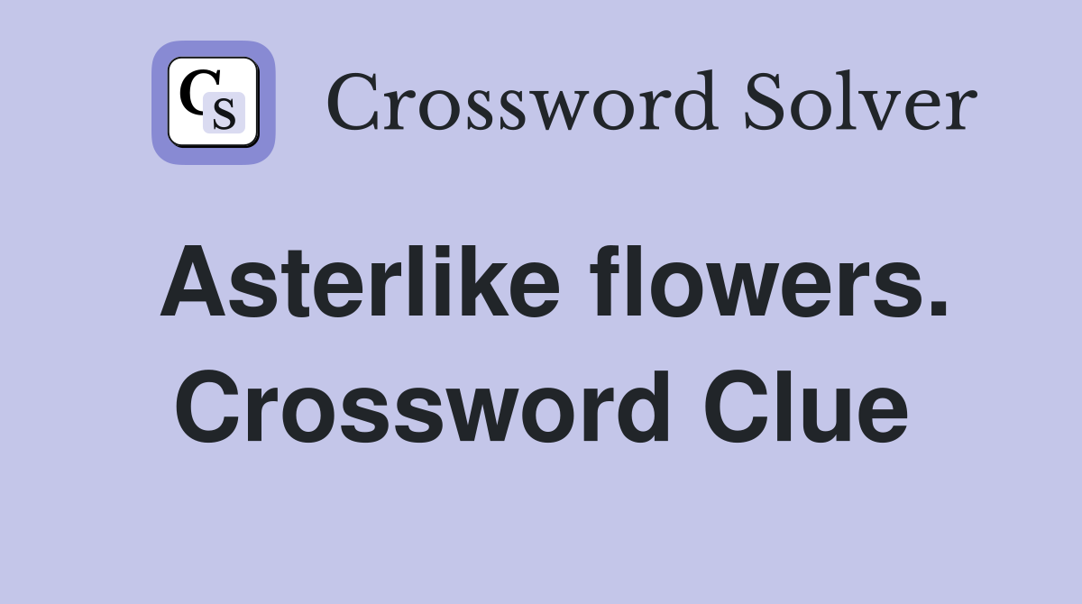 Asterlike flowers. Crossword Clue