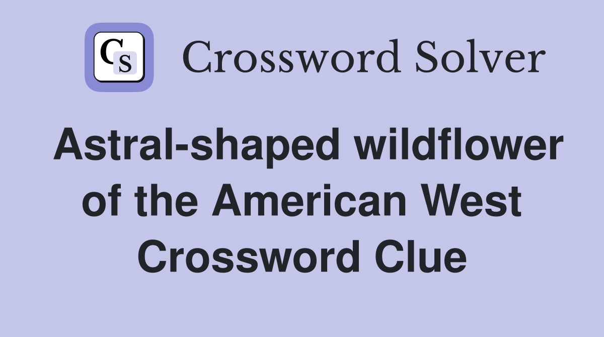 Astral-shaped wildflower of the American West Crossword Clue