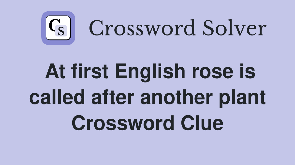 At first English rose is called after another plant Crossword Clue