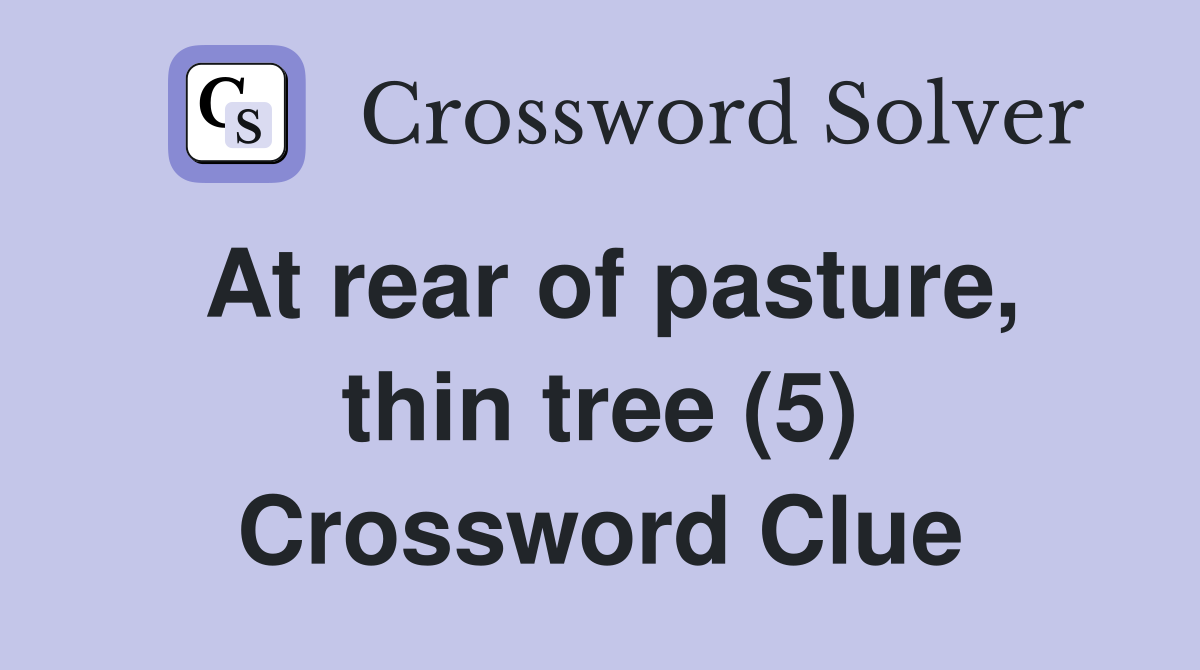At rear of pasture, thin tree (5) Crossword Clue
