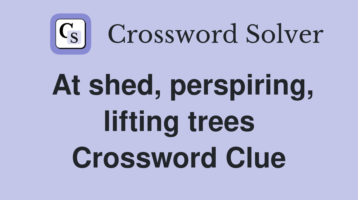 At shed, perspiring, lifting trees Crossword Clue