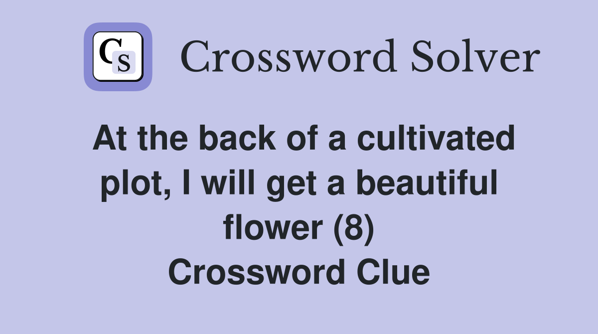 At the back of a cultivated plot, I will get a beautiful flower (8) Crossword Clue
