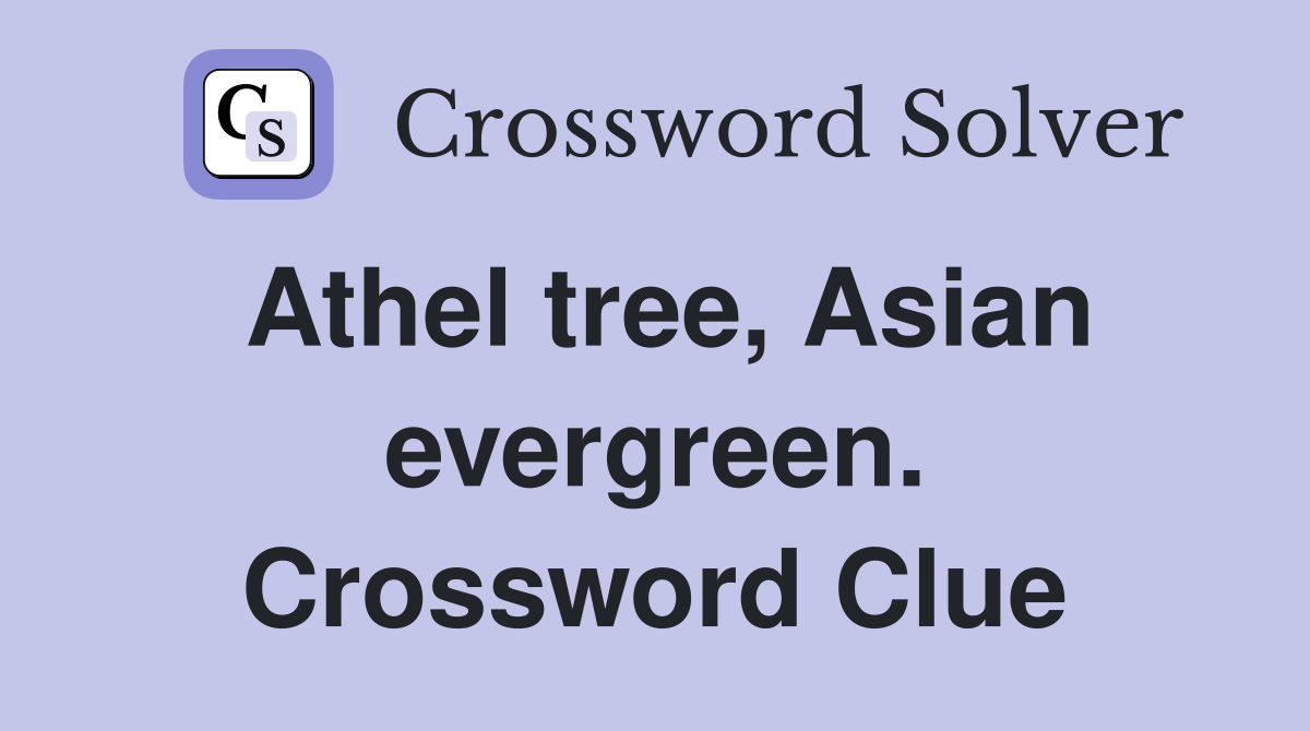 Athel tree, Asian evergreen. Crossword Clue