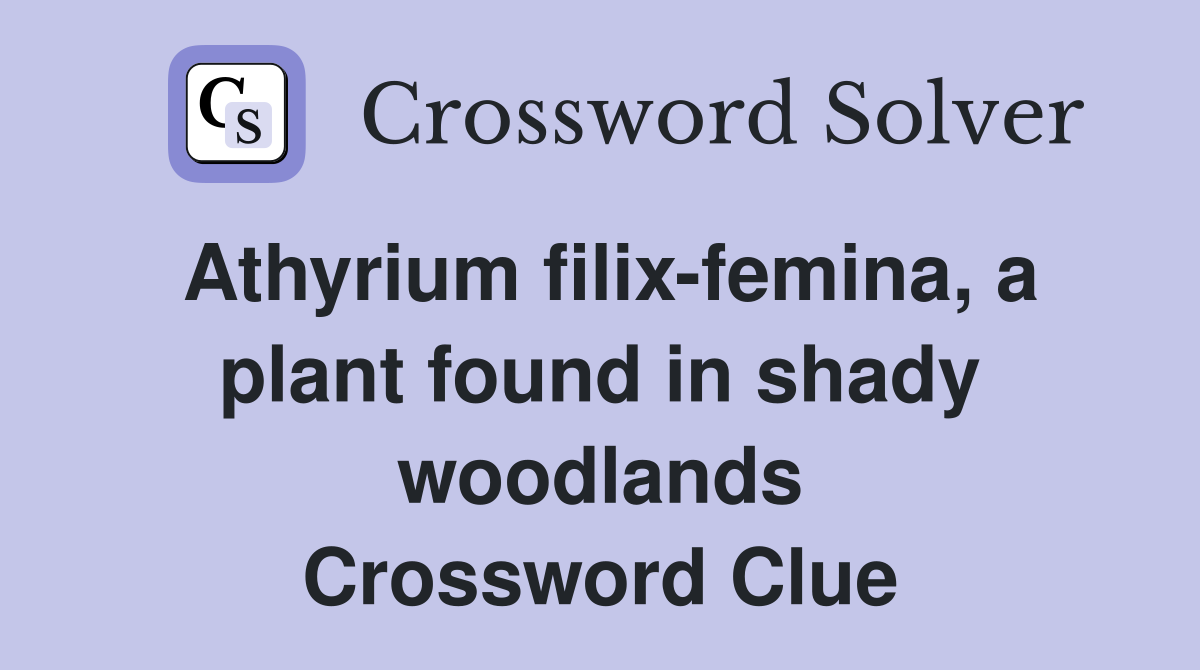 Athyrium filix-femina, a plant found in shady woodlands Crossword Clue