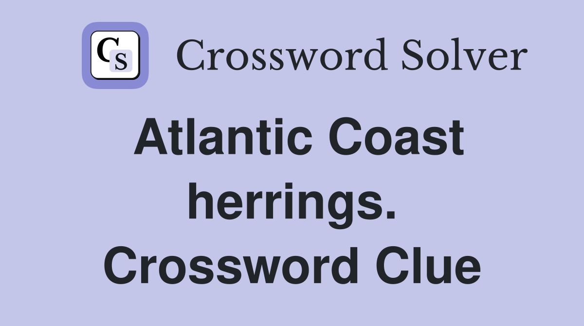 Atlantic Coast herrings. Crossword Clue
