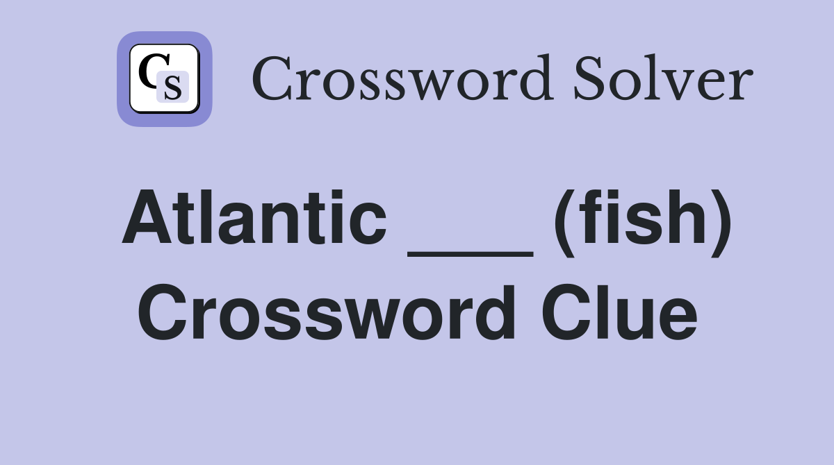 Atlantic ___ (fish) Crossword Clue