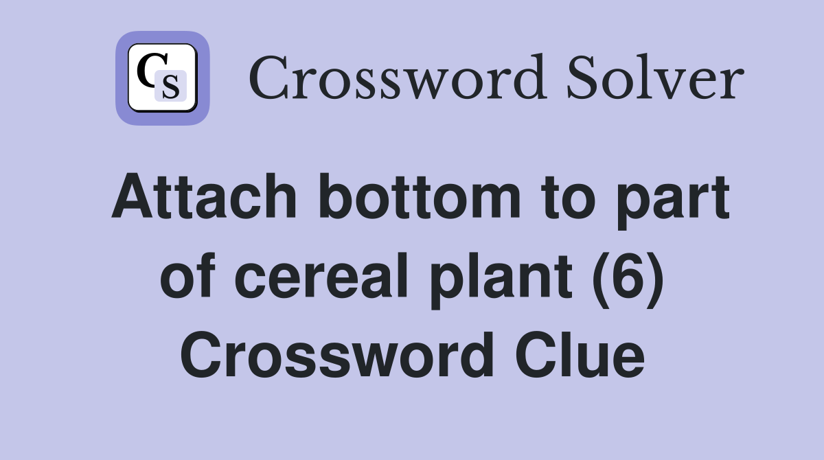 Attach bottom to part of cereal plant (6) Crossword Clue