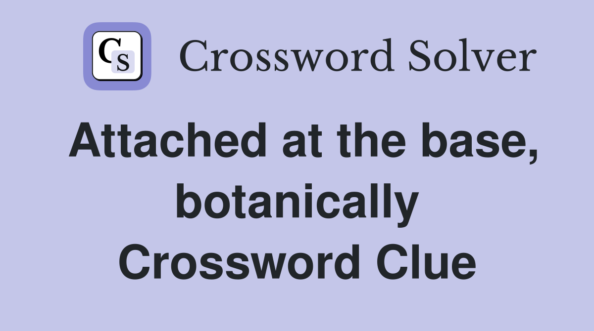 Attached at the base, botanically Crossword Clue