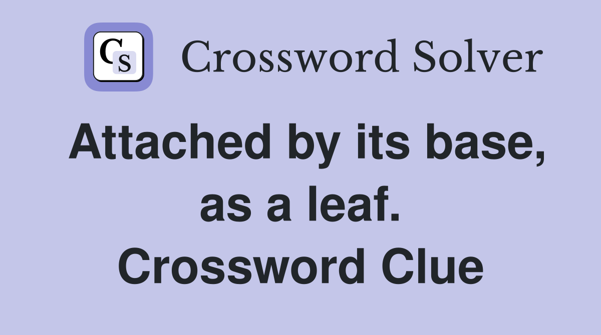 Attached by its base, as a leaf. Crossword Clue