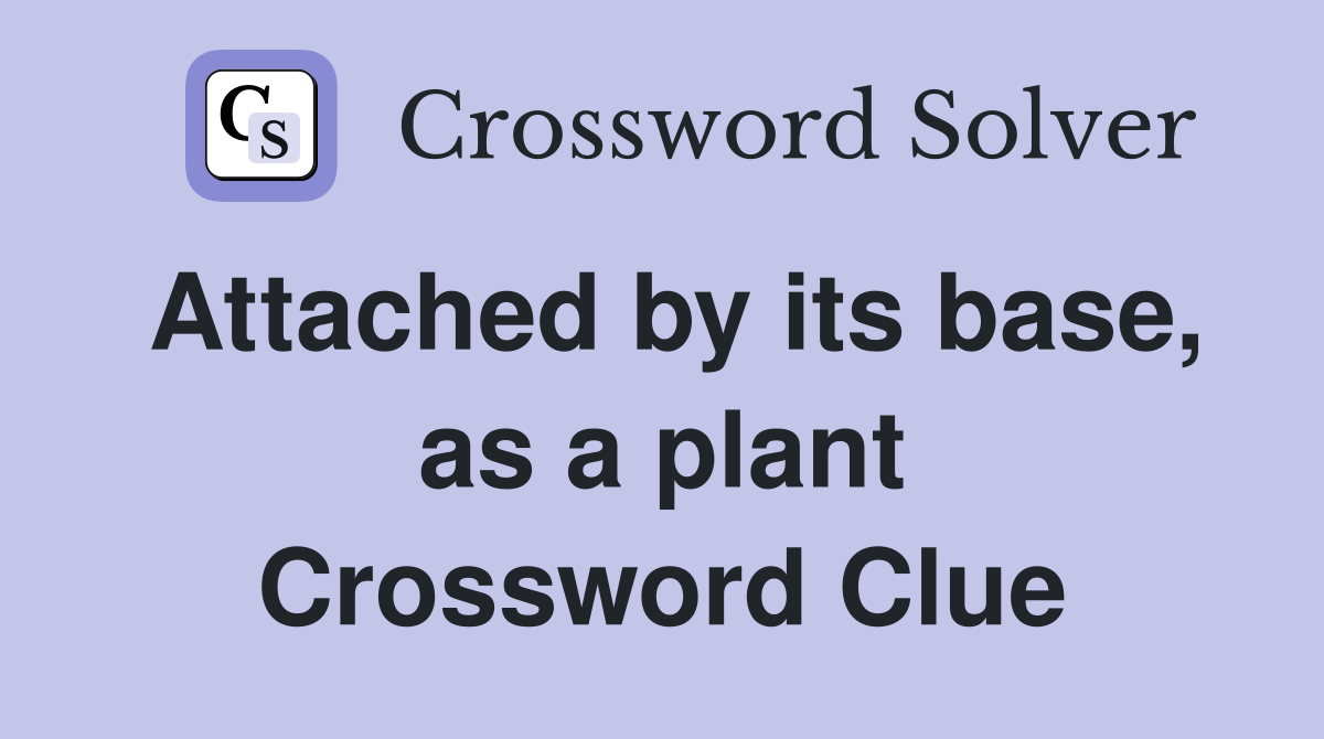 Attached by its base, as a plant Crossword Clue