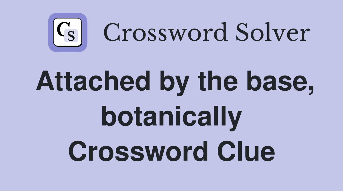 Attached by the base, botanically Crossword Clue