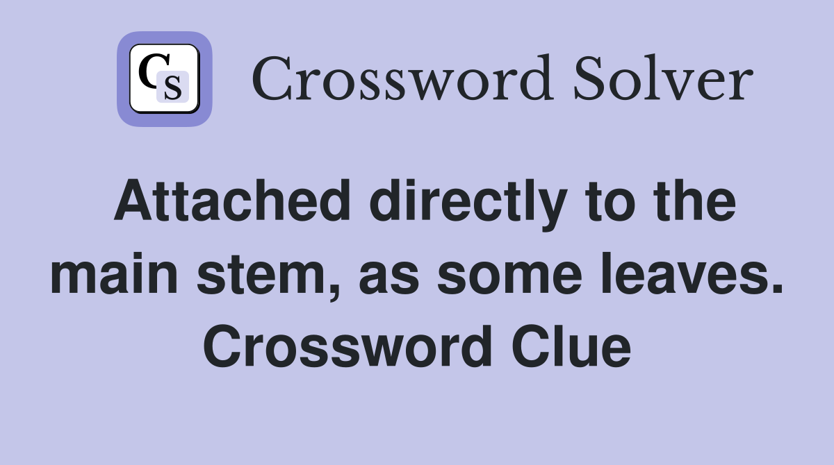 Attached directly to the main stem, as some leaves. Crossword Clue