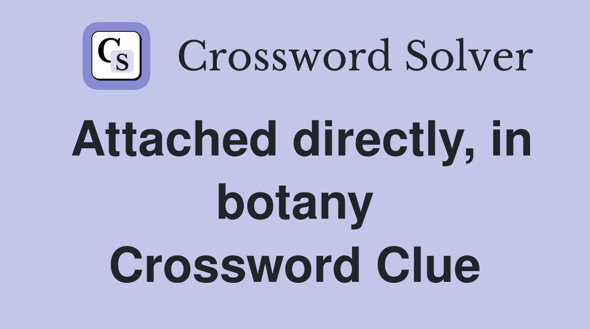Attached directly, in botany Crossword Clue